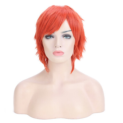 

Halloween Unisex Anime Fashion Short Wig Cosplay Party Straight Hair Cosplay Full Wigs