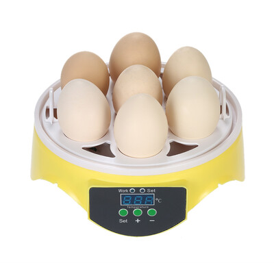 

7 Eggs Mini Digital Egg Incubator Hatcher Transparent Eggs Hatching Machine Automatic Temperature Control for Chicken Duck Bird Eg