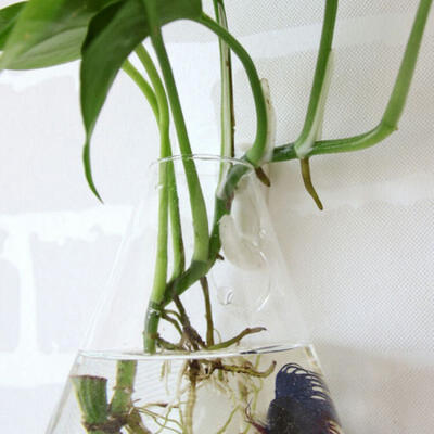 

Wall Hanging Flower Pot Glass Ball Vase Terrarium Fish Tank Home Decor WallDecor