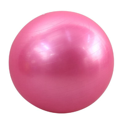 

65cm Fitness Exercise Gym Fit Yoga Core Ball Multi-use Indoor Fitness Training Yoga Ball