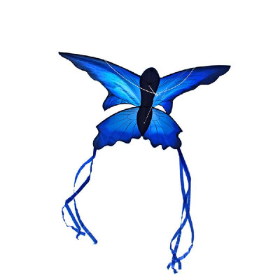 

Colorful Cartoon Butterfly Kite Outdoor Sport Single Line Flying Kite with Tail 30m Flying Line for Kids Adults