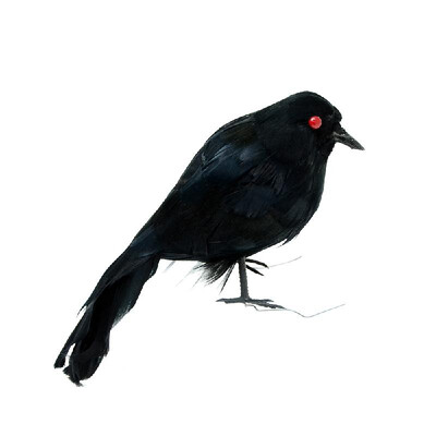 

Realistic Looking Birds Black Feathered Crows Halloween Decoration Artificial Crow Prop Decor Simulation Corbie