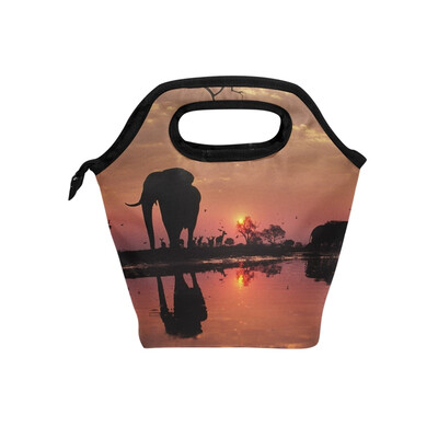 

Lunch Tote Bag Riverain Elephant Travel Picnic Insulated Lunch Handbags Portable Zipper Lunch Bag Box