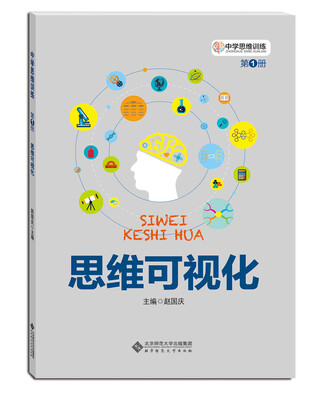 

中学思维训练丛书·第一册：思维可视化