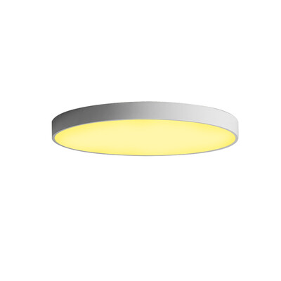 

JX232 - 18W - WW Warm White Ceiling Lamp AC 220V