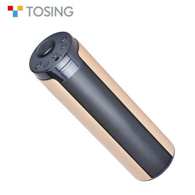 

Tosing T05 2x10w speaker output christian gifts microphone professional speaker