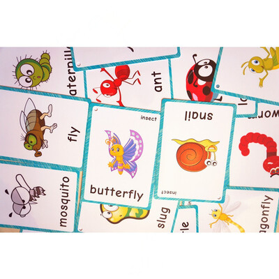 

22 insect Flash Cards-English word learning card & pocket size flash card for Preschool children-English Vocabulary Cards12x9cm