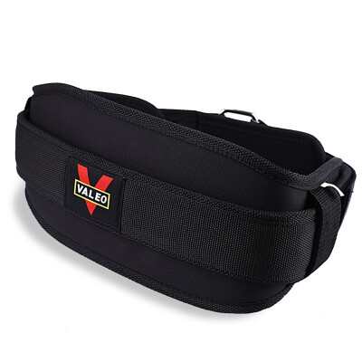 

VALEO Nylon EVA Weight Lifting Squat Belt Lower Back Support for Fitness Training Weightlifting nylon belt