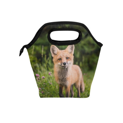 

Lunch Bag Scott-Walsh-315682-Unsplash Tote Travel Picnic Insulated Handbags Portable Zipper Lunch Bag Box