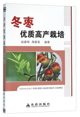 

冬枣优质高产栽培