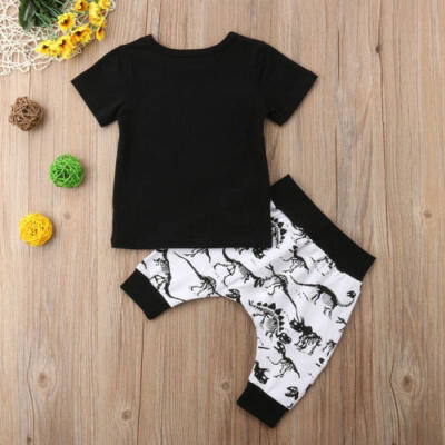 

Newborn Baby Boys Girls Dinosaur T-shirt TopsPants Trousers 2PCS Outfits Set