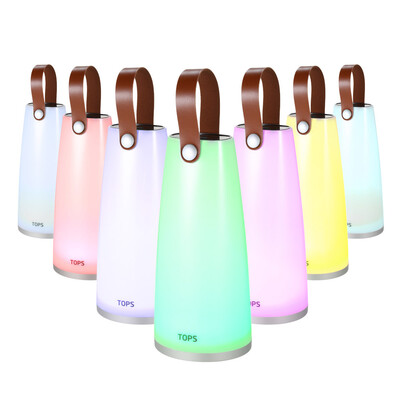 

Portable USB Rechargeable LED RGB Handheld Lantern Light Changeable Colors Cordless Outdoor Night Lamp Festival Party Decoration L