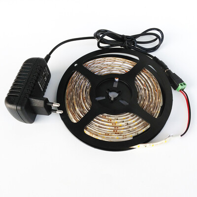 

ZDM Waterproof 5M 300 x 3528 LED Light Strip with AC DC Transformer