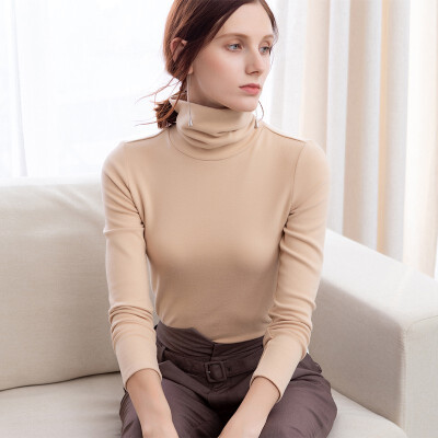 

Canvaus Thick Long Sleeve Shirt Women Autumn Winter Turtleneck Pullover T-shirt Solid Casual Slim Bottoming Shirt FS367A