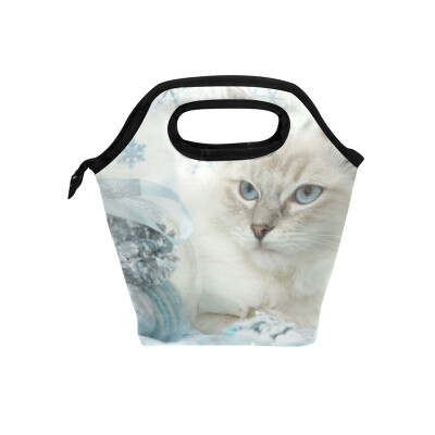 

Insulated Lunch Tote Bag Fat Cat Travel Picnic Lunch Handbags Portable Zipper Lunch Bag Box