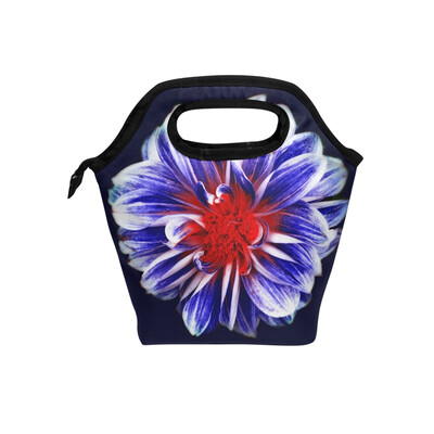 

Insulated Lunch Tote Bag 81 Travel Picnic Lunch Handbags Portable Zipper Lunch Bag Box