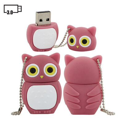 

4GB 8GB 16G 32G 64G 128G Owl Model USB 30 Stick USB Drive Pen Drive USB 30 Flash Disk Memory Stick USB Stick USB 30 Flash Drive