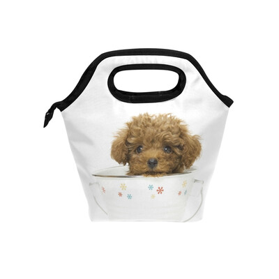 

Insulated Lunch Tote Bag Cup Dog Travel Picnic Lunch Handbags Portable Zipper Lunch Bag Box