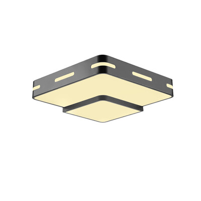 

JX725 - 32W - WJ Promise Dimmable Ceiling Lamp AC 220V