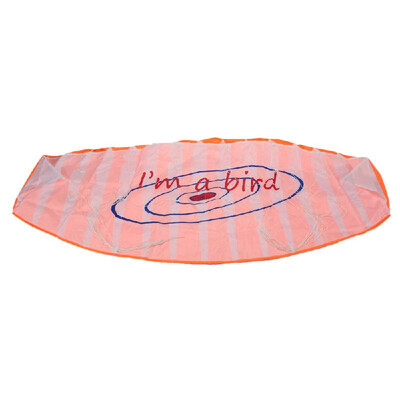 

Outdoor Sports Dual Line Stunt Parafoil Kite 14m Power Soft Kite with Handle