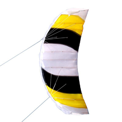 

Dual Line Stunt Parafoil Kite Outdoor Sports Fun Beach Flying Kite Toy with 30M
