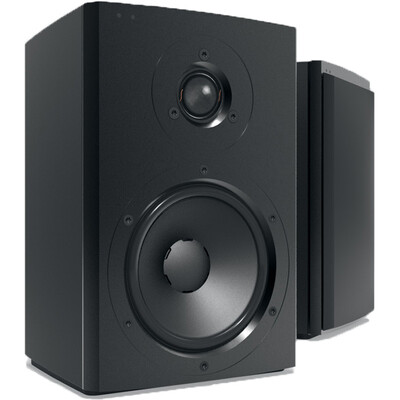 

Таннер (DYNAUDIO) Xeo 2 беспроводной HiFi звуковая система из Дании (Bluetooth с поддержкой) черный металл