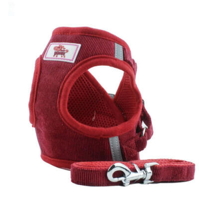 

Breathable Air Mesh Small Dog Harness & Leash Set Pet Puppy Vest for Chihuahua