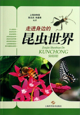 

走进身边的昆虫世界