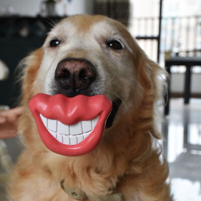 

Funy Red lips Pet Dog Toys Interactive Natural Rubber Ball Cat Puppy Chew Toy Food Dispenser Ball Bite-Resistant Clean Teeth Pet