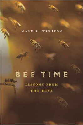 

Bee Time Lessons from the Hive