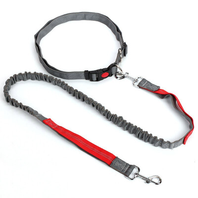 

Hands Free Dog Leash for Running Walking Hiking