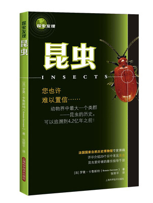 

探索发现：昆虫