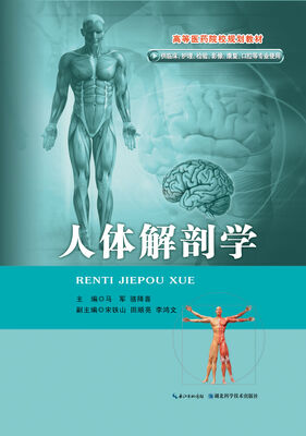 

人体解剖学（彩色版）/高等医药院校规划教材