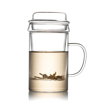 

Clear Glass Mug With Lid & Filter 400ml B-231S3