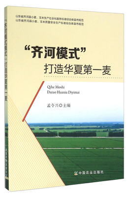 

“齐河模式”打造华夏第一麦
