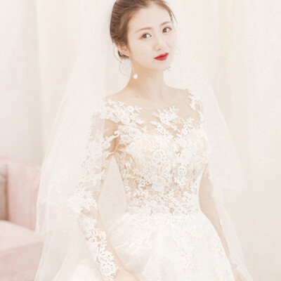 

Simple Wedding Dress Princess Long Sleeve Sexy Backless Wedding Gown Luxury Lace Bride Dresses