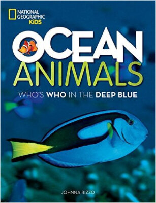 

Ocean Animals Whos Who in the Deep Blue