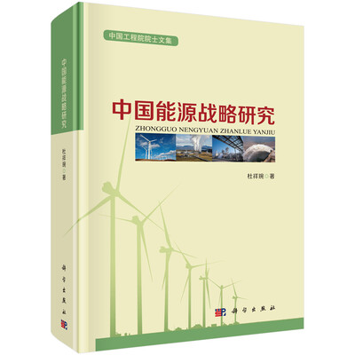 

中国工程院院士文集：中国能源战略研究