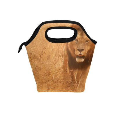 

Lunch Bag Tote Bag Animal Lion Travel Picnic Organizer Lunch Holder Handbags Lunch Bag Box