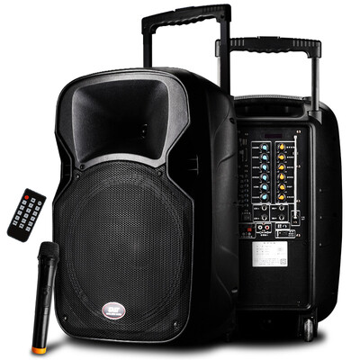 

SAST Tianyun 3 12-inch trolley speaker square dance outdoor audio portable loudspeaker high power with wireless microphone microphone