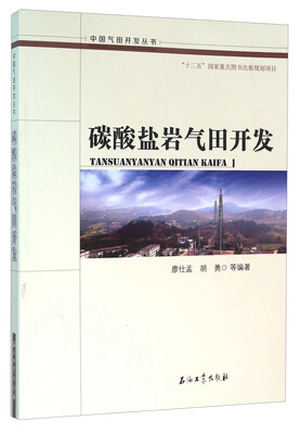 

碳酸盐岩气田开发