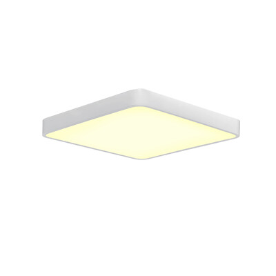 

JX231 - 24W - WJ Promise Dimming Ceiling Lamp AC 220V
