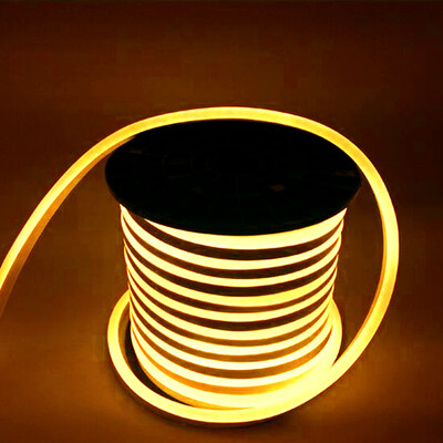 

1PCS YWXLight 5M LED Strip Flexible Neon Lights Waterproof LED Light Lamp AC 220 - 240V