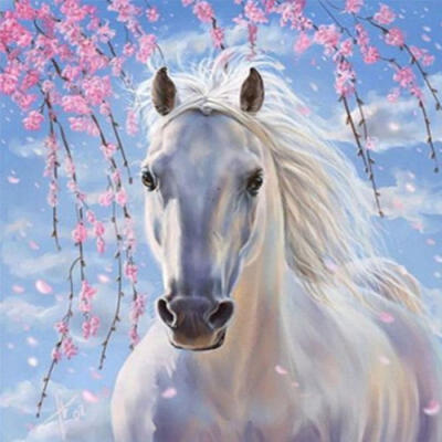 

AU DIY 5D Diamond Painting Horse Pony Cross Stitch Home Decor Craft Wall Decor