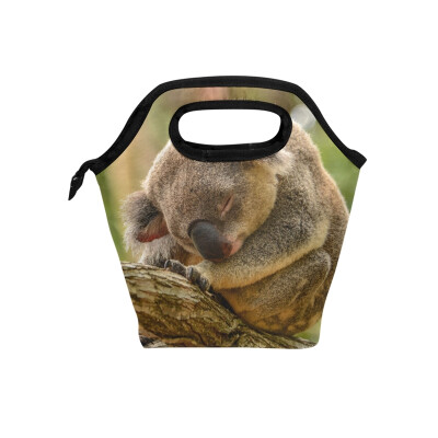 

Brown Koala Lunch Bag Tote Travel Picnic Insulated Handbags Portable Zipper Lunch Bag Box