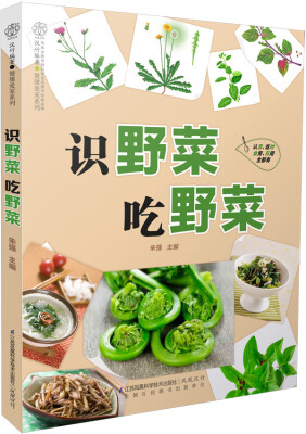 

识野菜 吃野菜（汉竹）