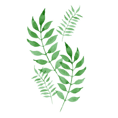 

UpperX Frameless Ma Ye Green Leaf Oil Painting DIY Digital Coloring Wall Arts Pictures For Living Room 40X50Cm