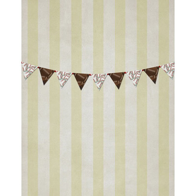 

Light Makeup Photo Backdrop 57FT Vinyl Fabric Cloth Digital Printing Photo Background s-2360