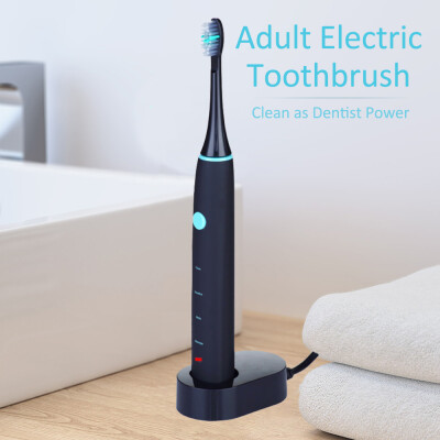 

Adult Electric Toothbrush Clean as Dentist Power Rechargeable Waterproof w 2 Brush Heads for Home Travel Use