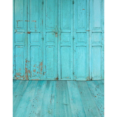 

Blue Door Photo Backdrop 57FT Vinyl Fabric Cloth Digital Printing Photo Background s-2341
